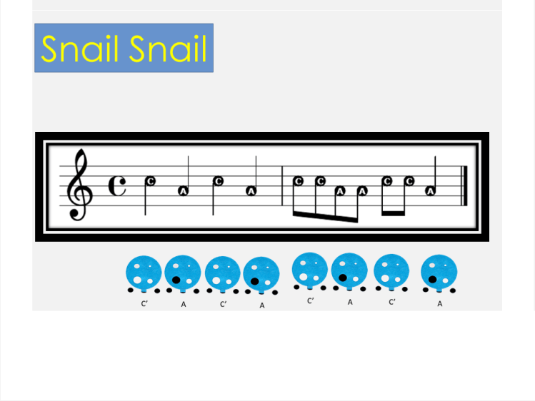 Snail Snail